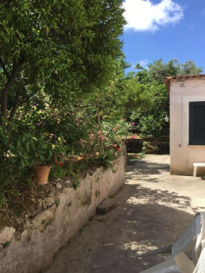 Al Giardino